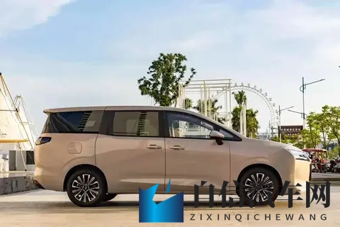 菜农拉货,宝妈带娃,年轻人创业,五菱MPV装下了800万人的生活-2