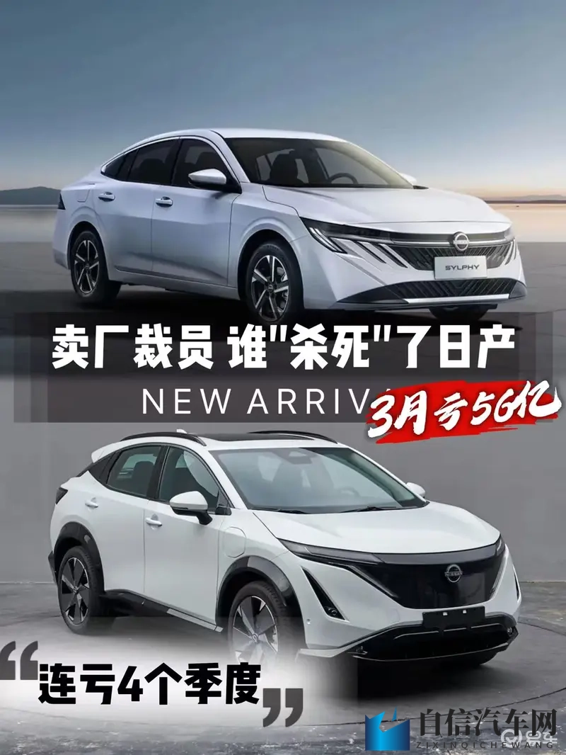 色色99：激情四溢，畅享欢乐时光-2