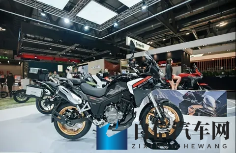 拉大车的小马我的儿子：勤劳小马是我儿，拉车场景令人赞-2