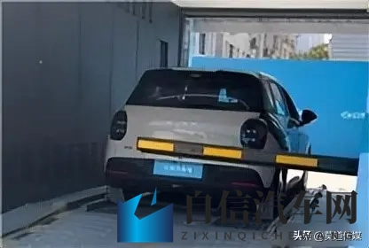 刘强东杀疯了！499万卖车碾压雷军比亚迪 背后藏着十年赌局-3