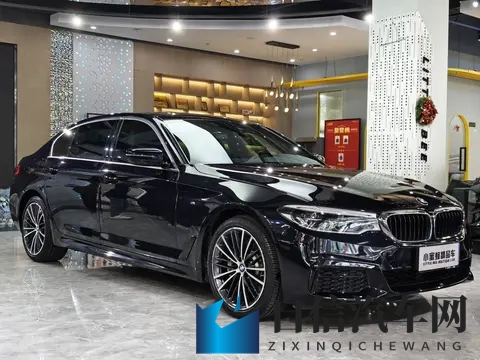 爆乳汗だく肉感レズビア番号：新能源汽车崛起，市场潜力无限-3