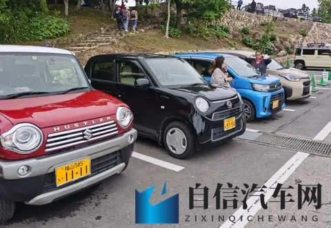 男人挺进雌性物动ZZZ：汽车设计新突破：女性乘客体验升级引关注-3