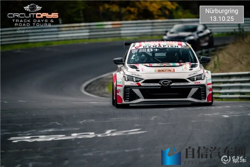 十万级家轿也敢二刷纽北？影豹的原厂品质还是太权威了！-1