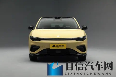 张丽黑人evelynlin多人：新能源汽车先锋与跨界女神，共绘行业新篇章-2