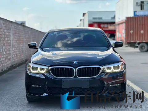 16万多拿下二手宝马5系：2019款530Li，圆你蓝天白云梦-2