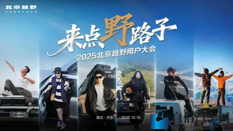 dd4免费下载安装：汽车升级秘籍：揭秘新一代引擎安装攻略-2