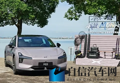 香蕉插水蜜桃：独特跨界设计引领汽车新潮流-1