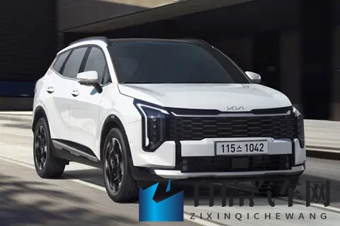 男女羞羞网站：男女私密互动平台-1