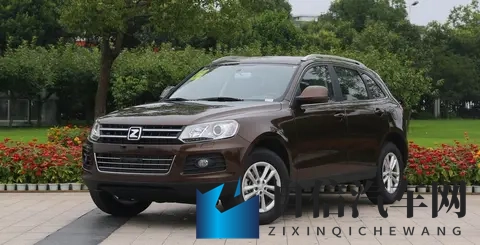 6年烧光270亿，1人负债750亿！“山寨神车”跌落神坛，凉了？-1