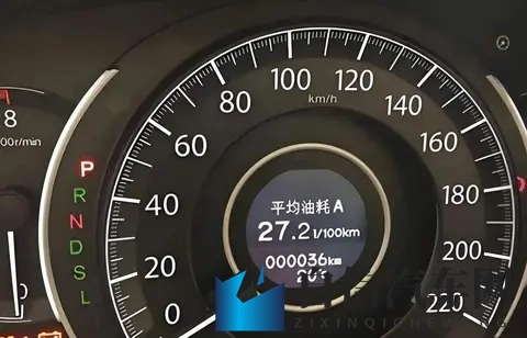 全彩ACG  无翼乌邪火：五彩ACG动画，神秘无翼乌之火-3