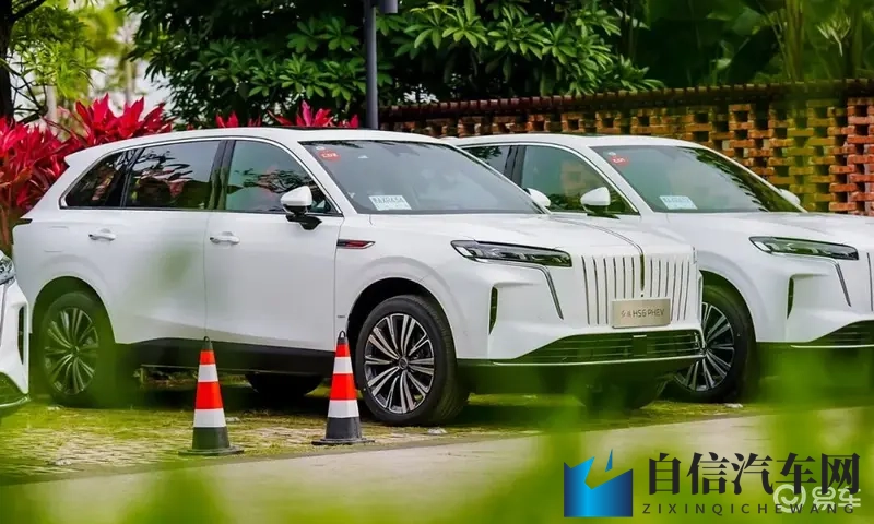 大五座，真豪华！居然不到18万，这台中大型SUV太值了！-1