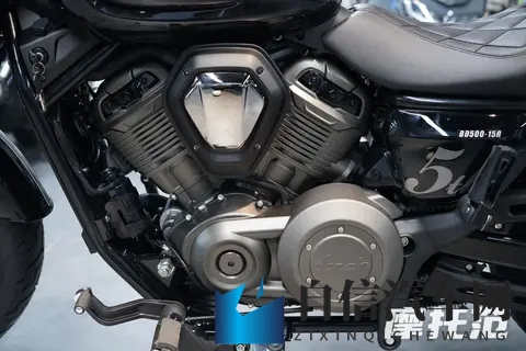 大屁股xxxx：臀部丰满xxx之魅力展现-1