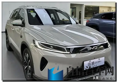 728万入手1400km续航，比亚迪海狮05直降23万，4S店为何被围爆-3