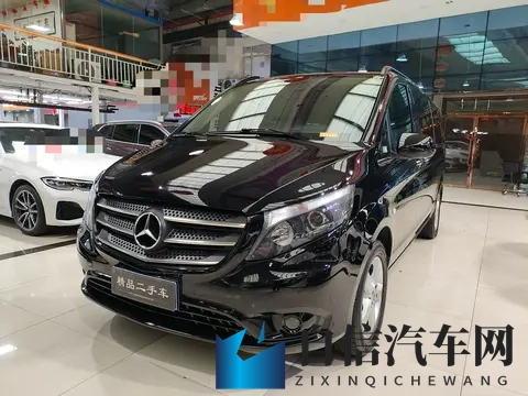 宜商宜家好选择，13万拿下2018款二手奔驰威霆7座-2