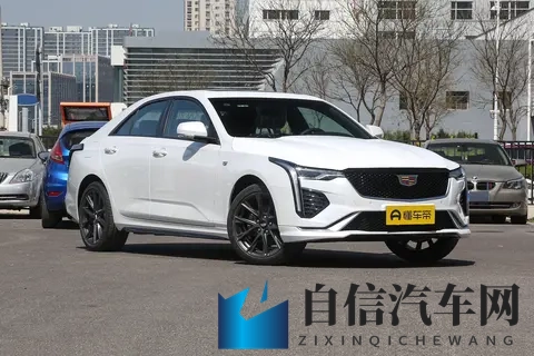 榴莲网站：探索榴莲美食的网上天地-2