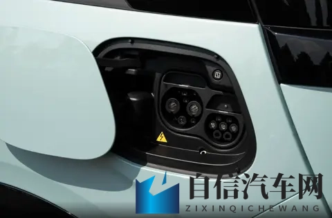 猫咪社区：宠物乐园里的喵星人聚集地-2