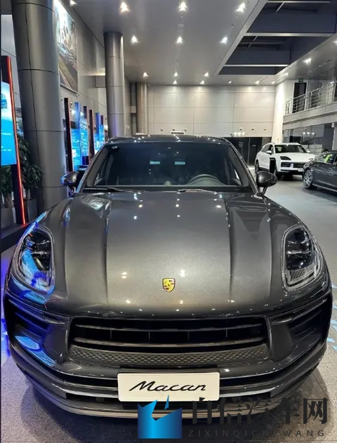 一个惊人的真相：中国新能源，差点把保时捷干没了！-2