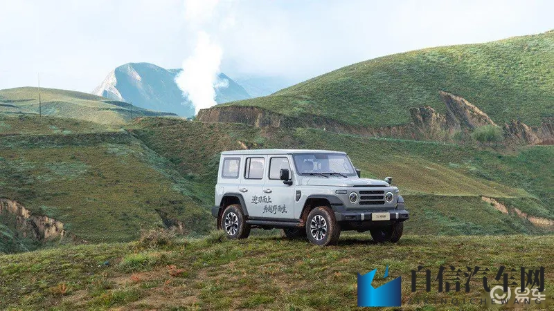 男女做网站：汽车网站崛起：男女联手打造专业资讯平台-2