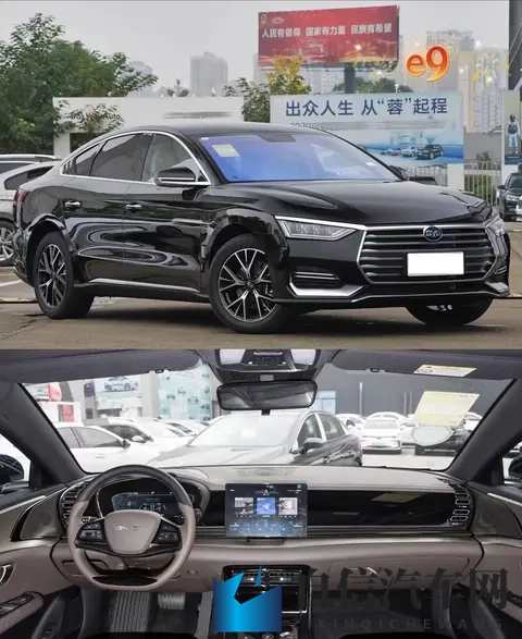 红桃视频：探寻红桃魅力，共享视觉盛宴-3