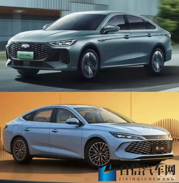 男同调教：同性情感教育探讨-1