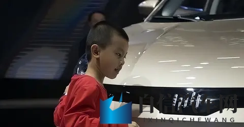 一夜负债200亿？电动车巨头轰然倒塌：终于活成贾跃亭了信徒-3