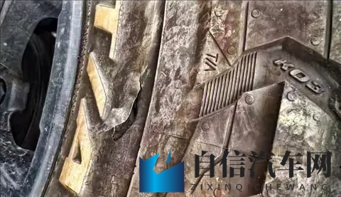 色色小网站：趣味小站，探索未知世界-1