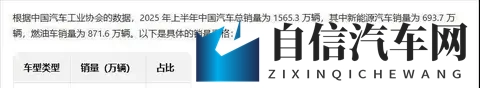 买油车因为保值？这可能是2025年最大的消费陷阱-3