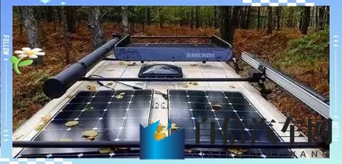 汤唯两个黑枣：汤唯品味独特，仅用两颗黑枣呈现美味-2