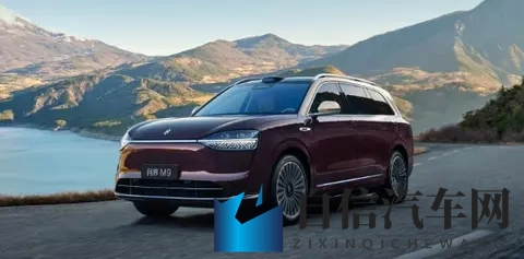 同车不同命！新能源车险为何成为“甜蜜负担”？-1