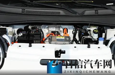 国产精品天天狠天天看：国产佳作每日精彩不容错过-2