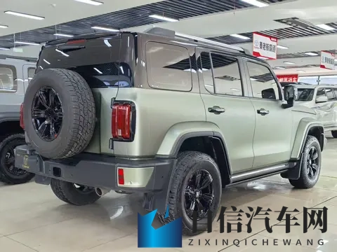 15万多拿下硬派越野！21年坦克300，圆你一个越野梦-3