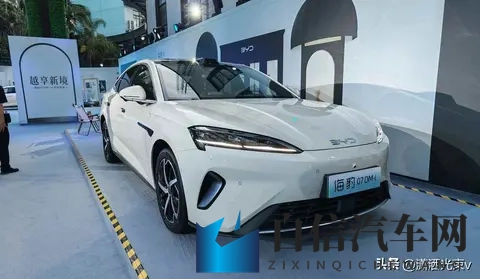 芭乐视app下载旧版本大全免费：重温经典，探寻老车故事-3