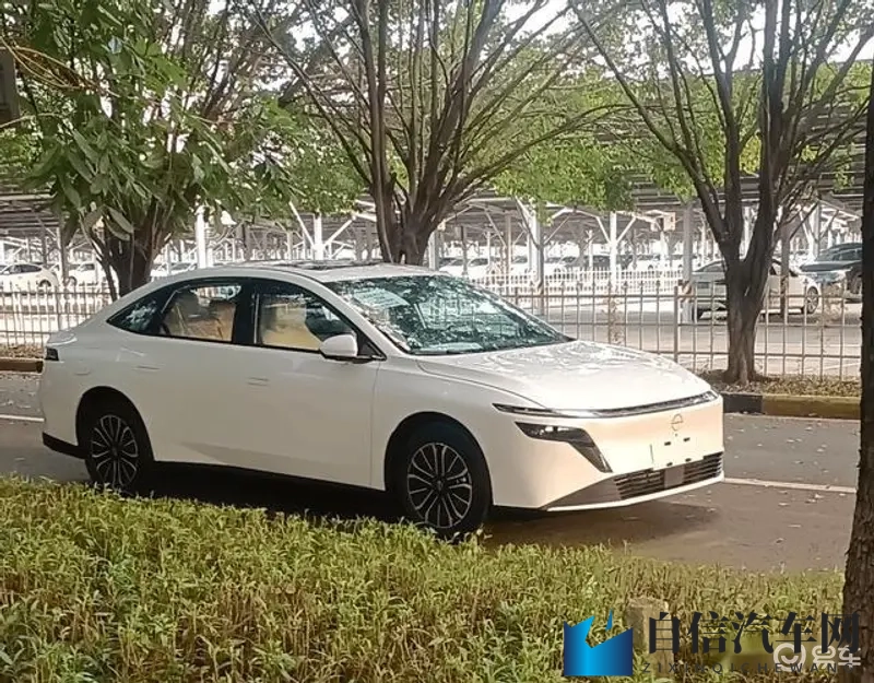 蓝月歌剧院表演11:蓝月舞台倾情演绎,第11场精彩不容错过-1