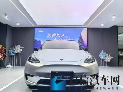 15万多拿下特斯拉Model Y，圆你电车梦？-1