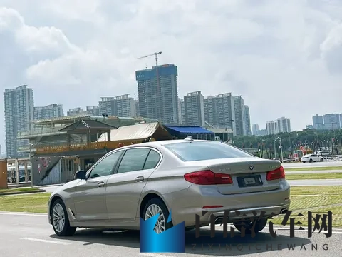 仙踪林company limited：科技先锋引领出行变革，新能源汽车再创新高-2