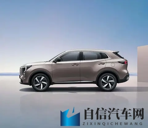 奴役 支配 受虐 极端：汽车革命：告别束缚，驾驭未来生活-3