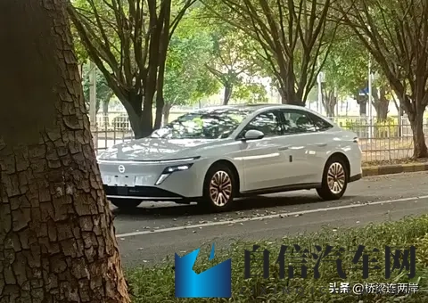 按摩师按到我高潮忍不住做了:汽车新趋势:科技舒适环保个性,未来出行更美好-1