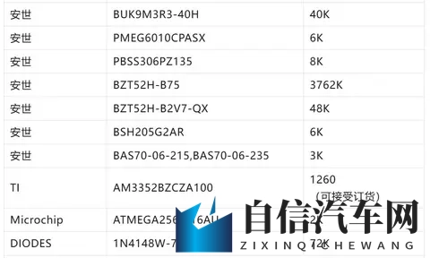 荷兰30 天断供冲击!车规芯片陷缺货危机-2