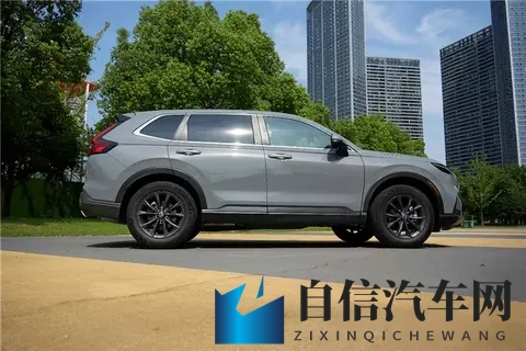 天天爱天天日天天操：每日深情相伴，乐享美好时光-3