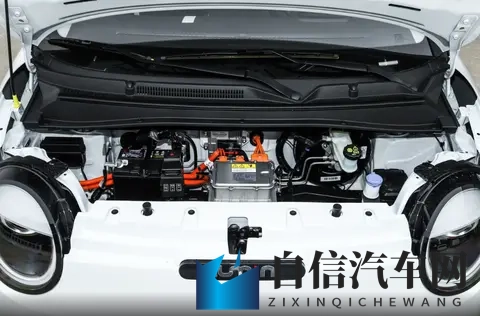 花吸子：汽车内饰新潮流，天然吸湿神器来袭-2