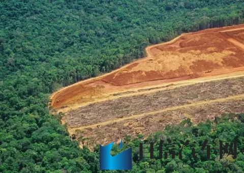 兽娘通信牛娘贝尔星空动漫：独特动漫风汽车，智能科技领航未来-1