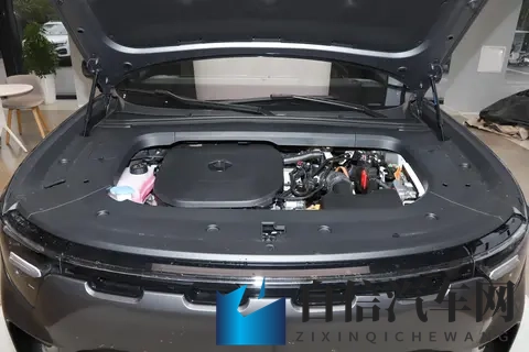 豪华插混SUV又出“黑马”！零重力座椅+双联屏，关键才1699万起-3