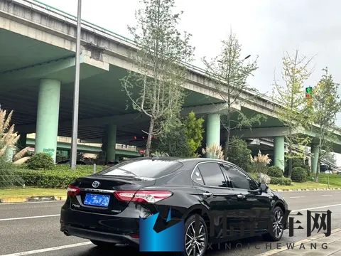 向日葵视频污污：视频平台内容低俗引争议-2