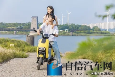 南京1月1日起小蓝牌电动车禁行，换牌还是换车？攻略请藏好-1