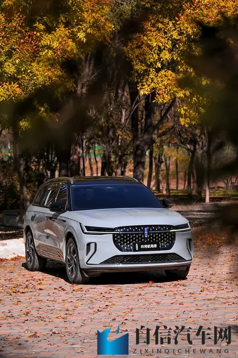 黄色软件3：揭秘隐藏的非法软件，第三款令人警惕-1