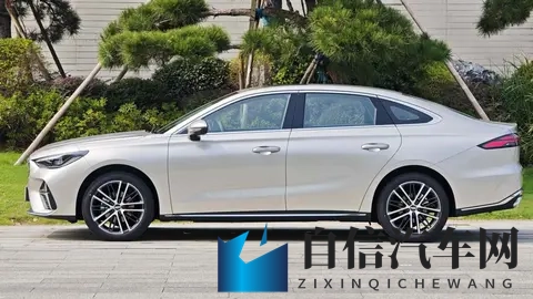 丰满大肥女巨肥BwwBBww：独特设计新车型，引领汽车潮流趋势-2