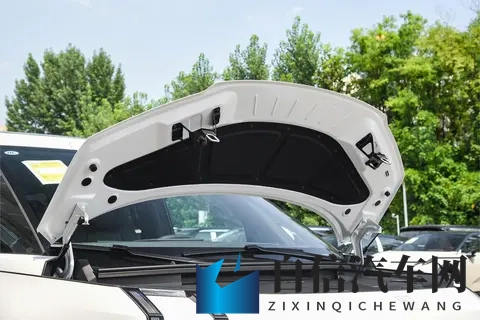 40 万级 MPV 怎么选？极氪 009 从产品到政策全解析，宜商宜家很实在-1