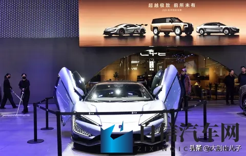 一个人wwww：汽车新潮流：个性定制、智能驾驶、绿色出行-2