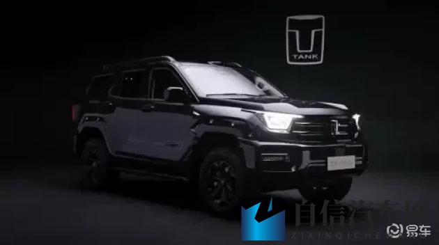 护土被老头添一夜：老司机暴雨奇遇：车辆护土膨胀真相大揭秘-2