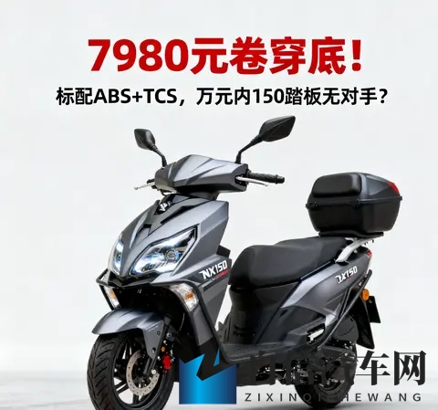 老师的兔子又大又白:课堂上那只兔子真大真白,引人注目-2